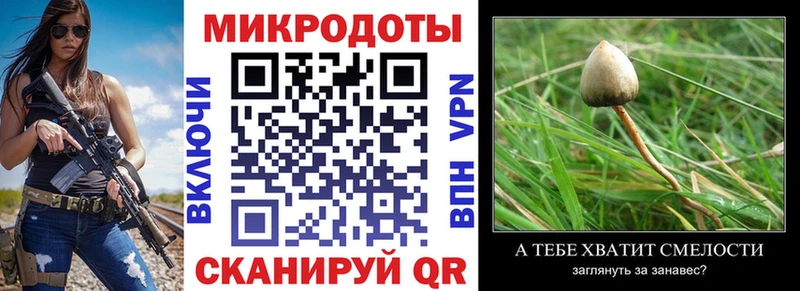 Галлюциногенные грибы Psilocybe  MEGA зеркало  Ершов 