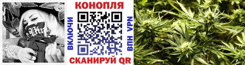 Канабис индика  как найти   Ершов 